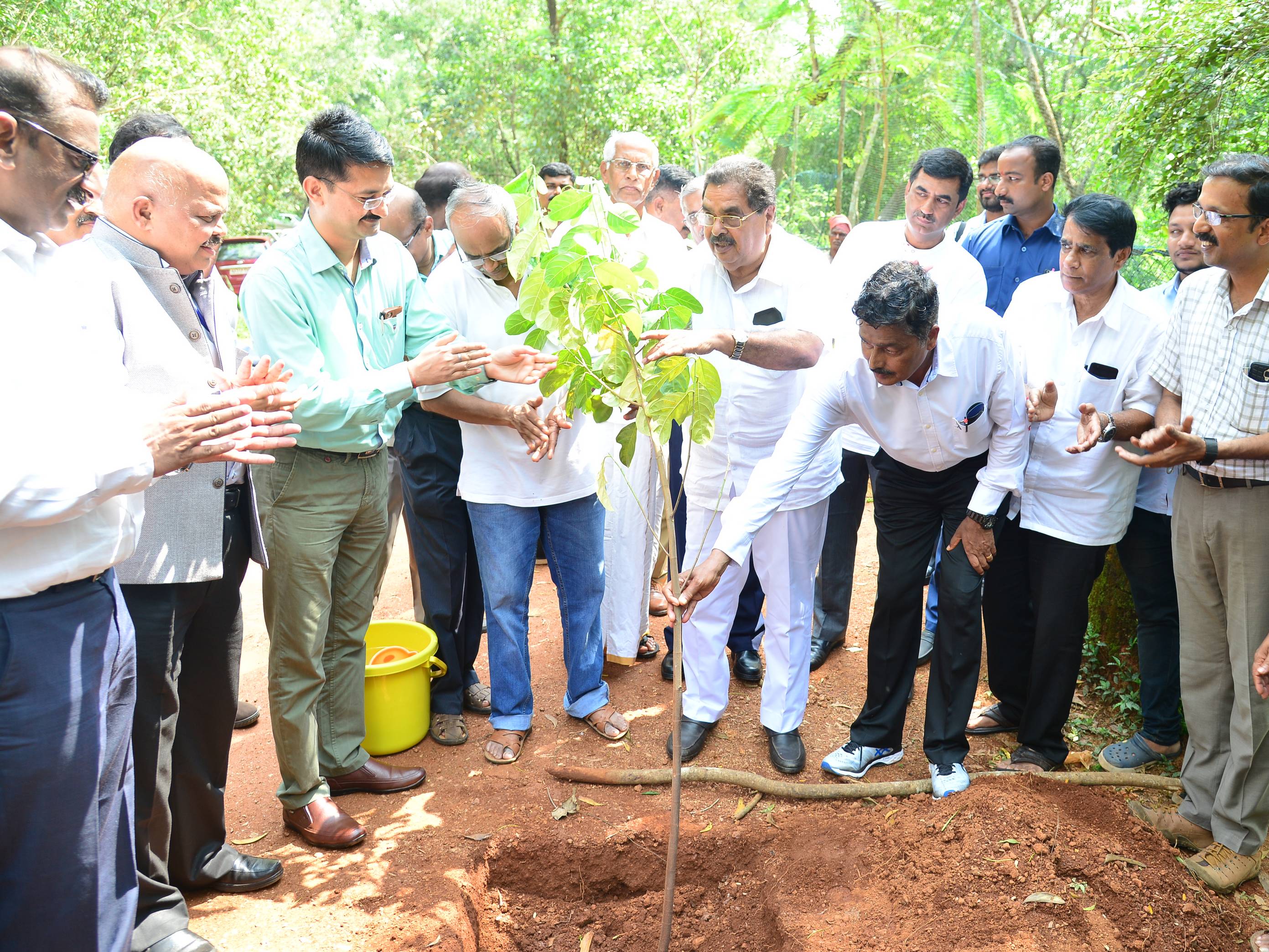 ಪಿಲಿಕುಳ: ಮೊದಲ ಹಂತದ ಹಸುರೀಕರಣ ಯೋಜನೆ ಉದ್ಘಾಟನೆ